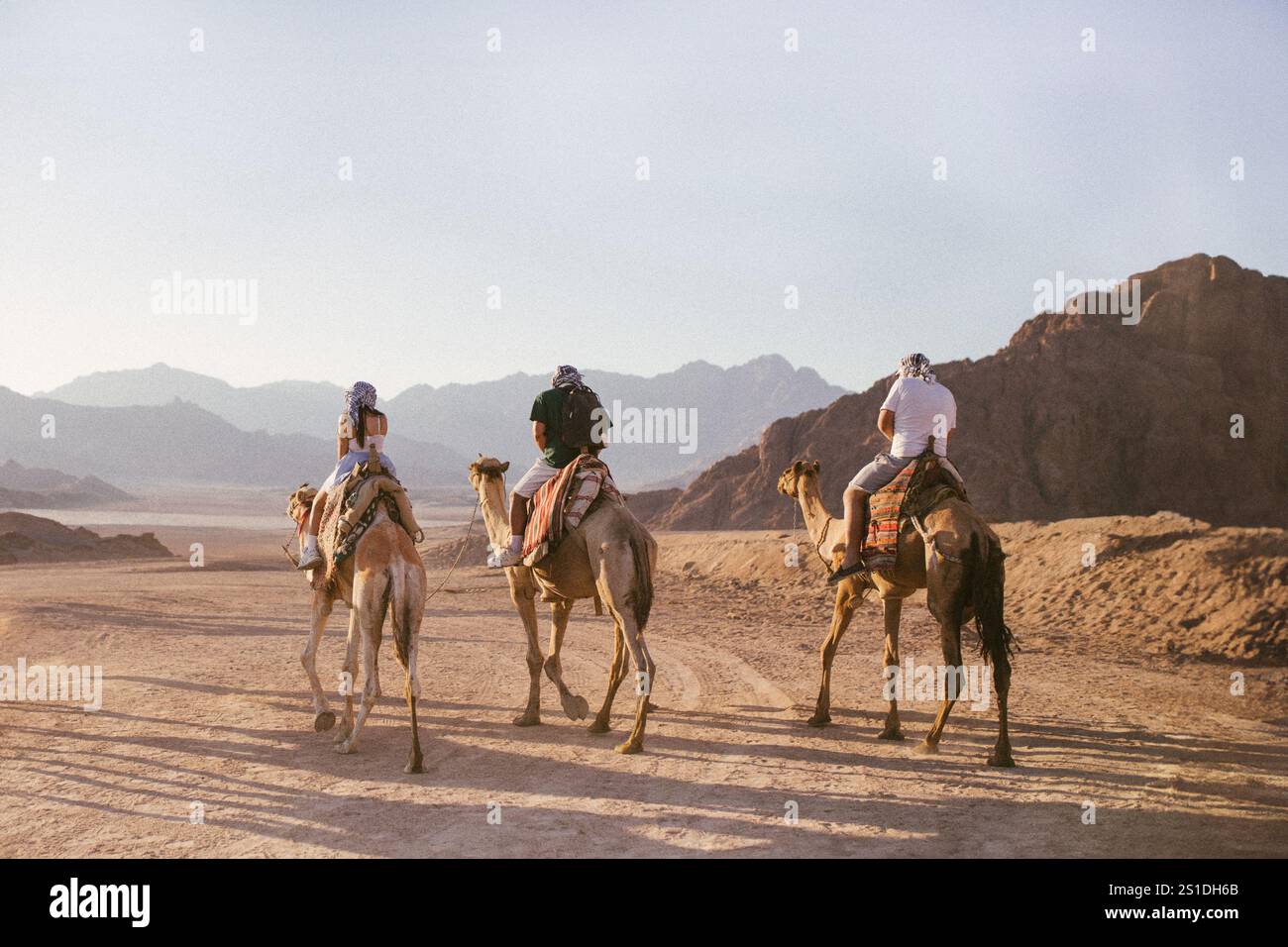 Les touristes montent à dos de chameaux dans le désert du Sahara. Banque D'Images