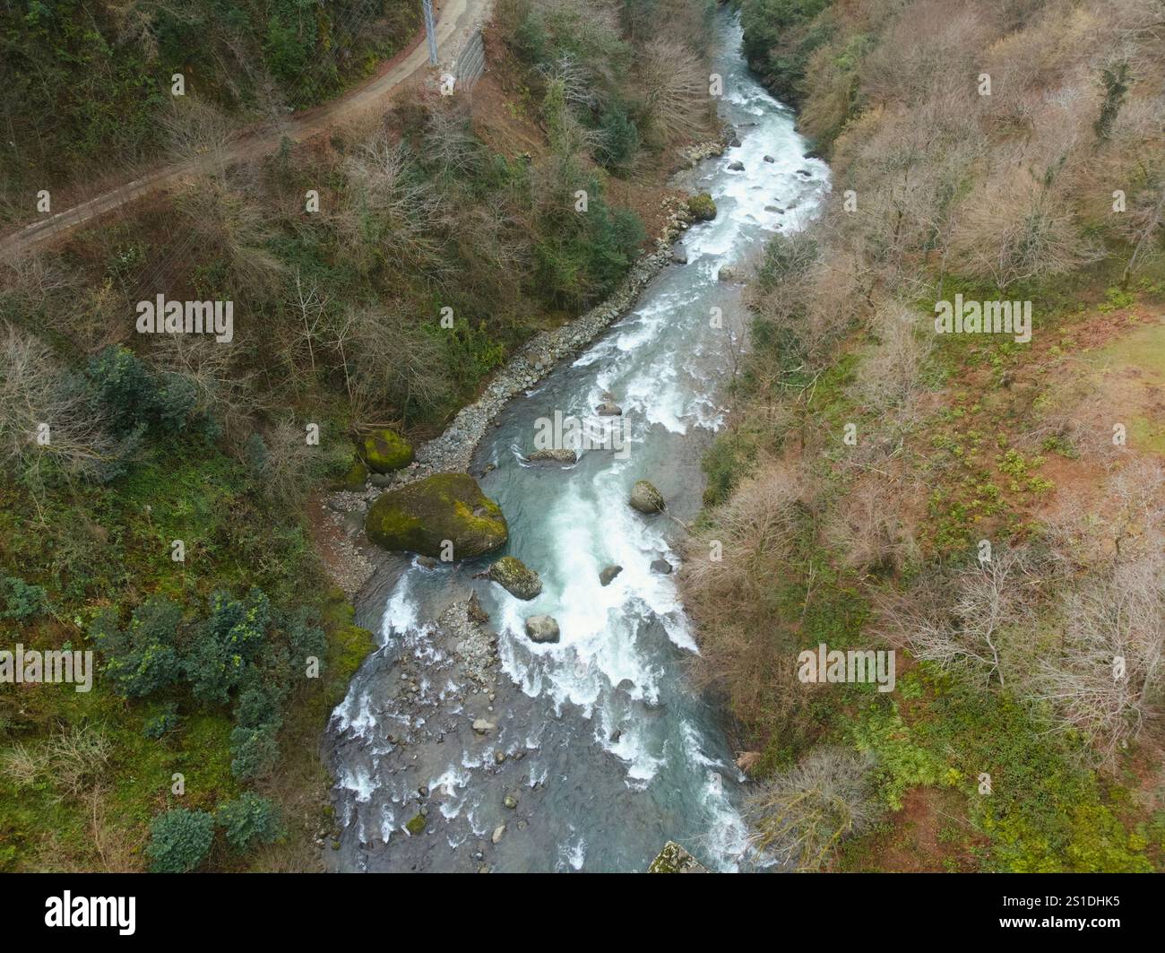 Une rivière avec un fond rocheux et une forêt verte en arrière-plan Banque D'Images