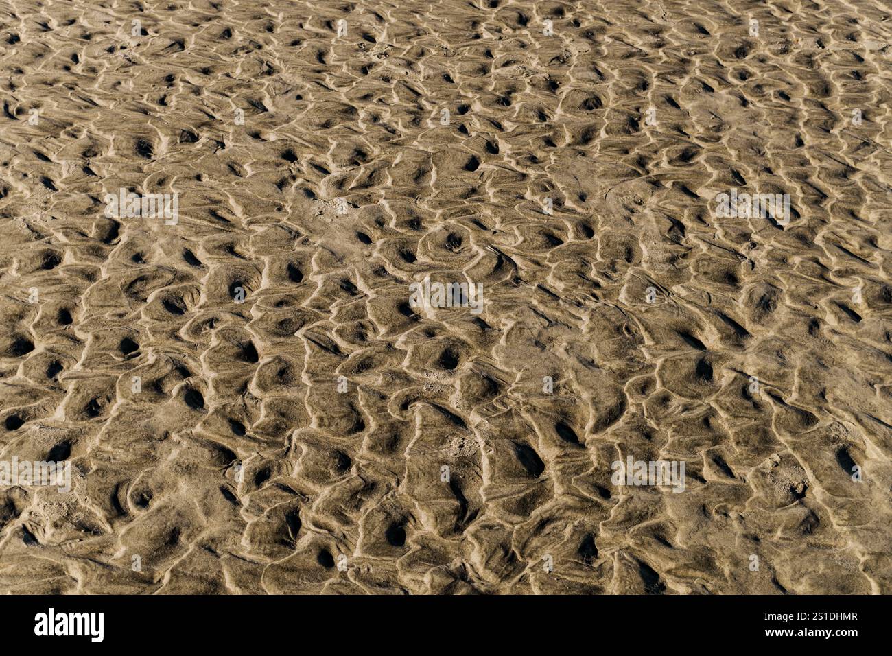 Motifs de sable sur Fripp Island, SC Banque D'Images