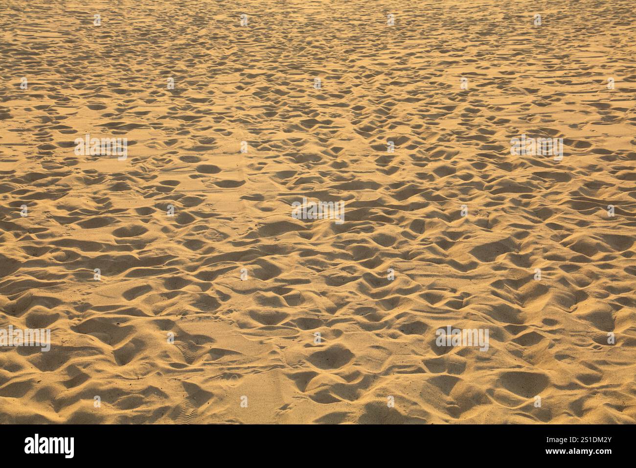 Fond de sable avec des empreintes humaines et d'oiseaux à la plage de Catane dans l'île de Sicile en Italie. Banque D'Images