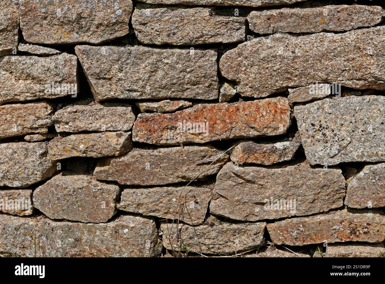 Pointe du Van, Finistère, Bretagne, France, Europe Banque D'Images