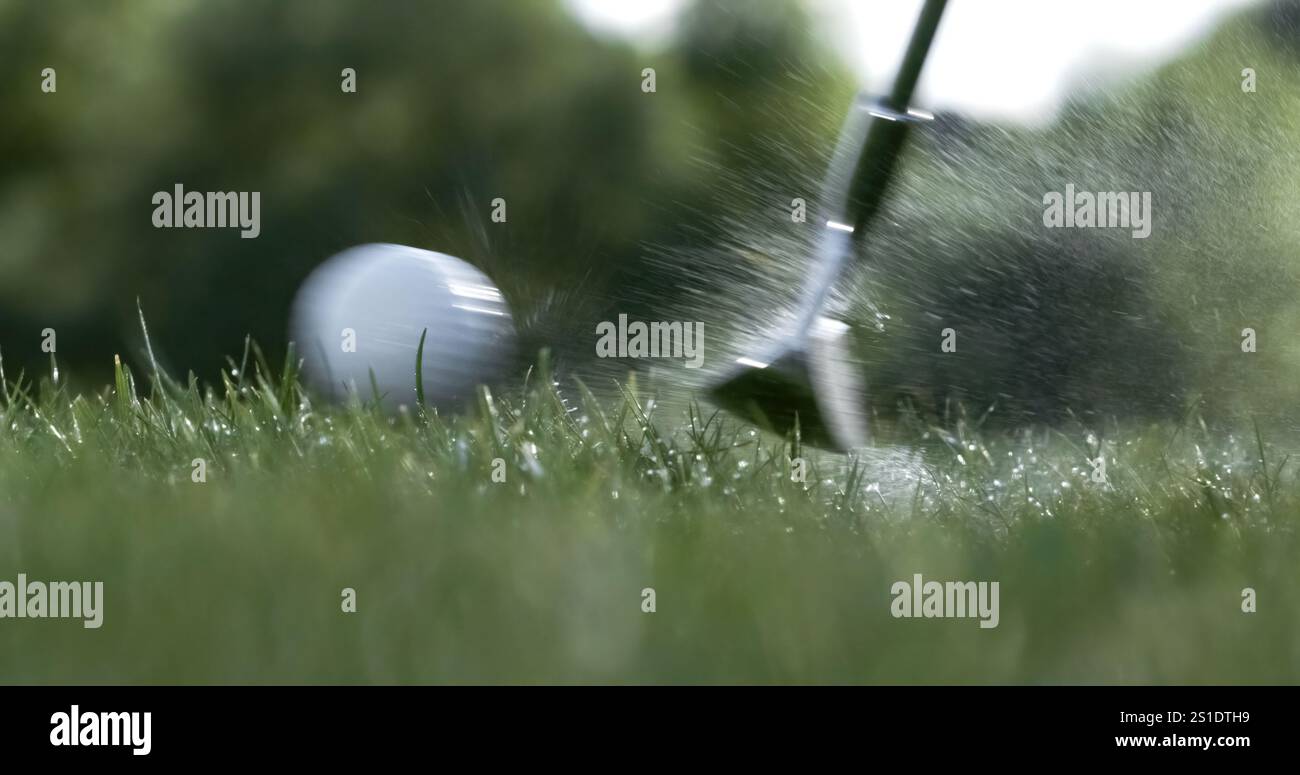 Un club de golf frappe une balle de golf. Des gouttes de rosée matinale et de particules d'herbe s'élèvent dans l'air après l'impact. Banque D'Images