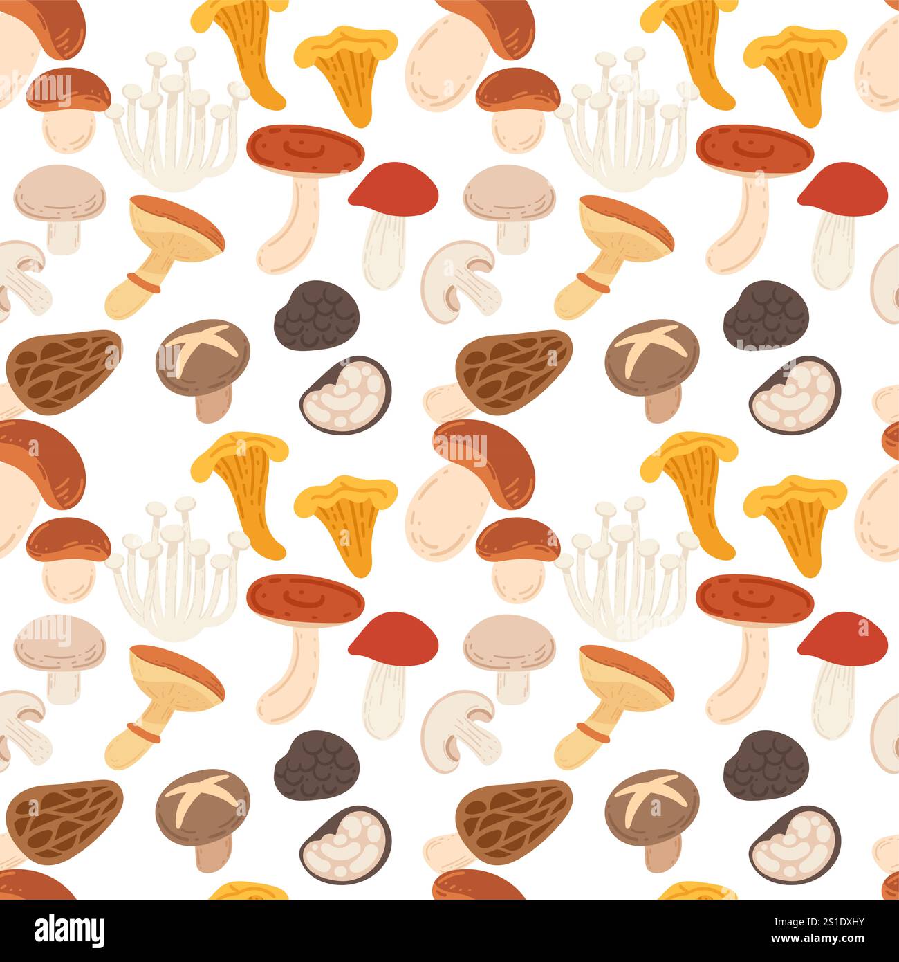 Motif sans couture ensemble assorti de champignons frais. Récolte forestière sauvage. Nourriture biologique fraîche mûre. Illustration vectorielle sur fond blanc. Illustration de Vecteur