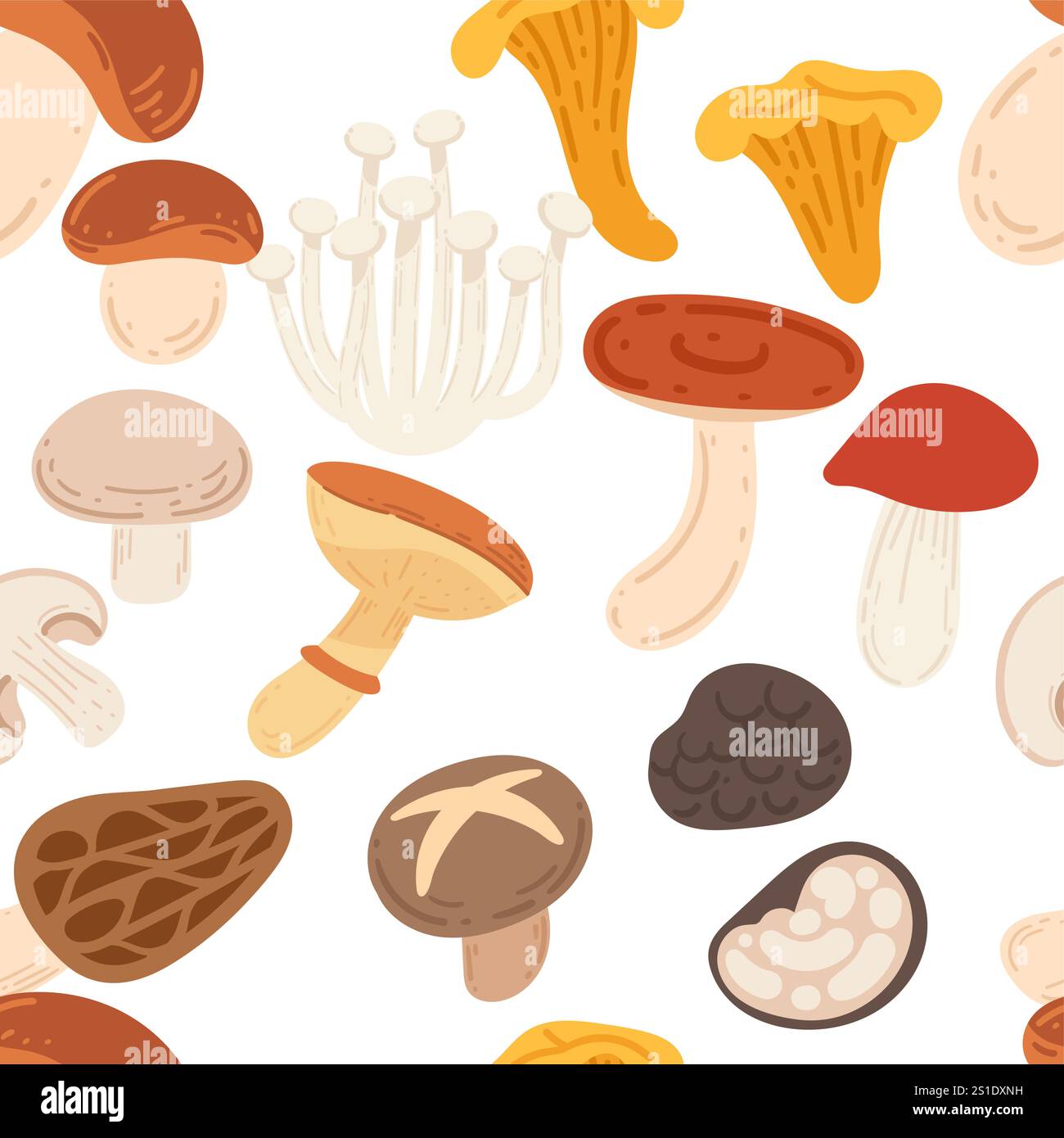 Motif sans couture ensemble assorti de champignons frais. Récolte forestière sauvage. Nourriture biologique fraîche mûre. Illustration vectorielle sur fond blanc. Illustration de Vecteur