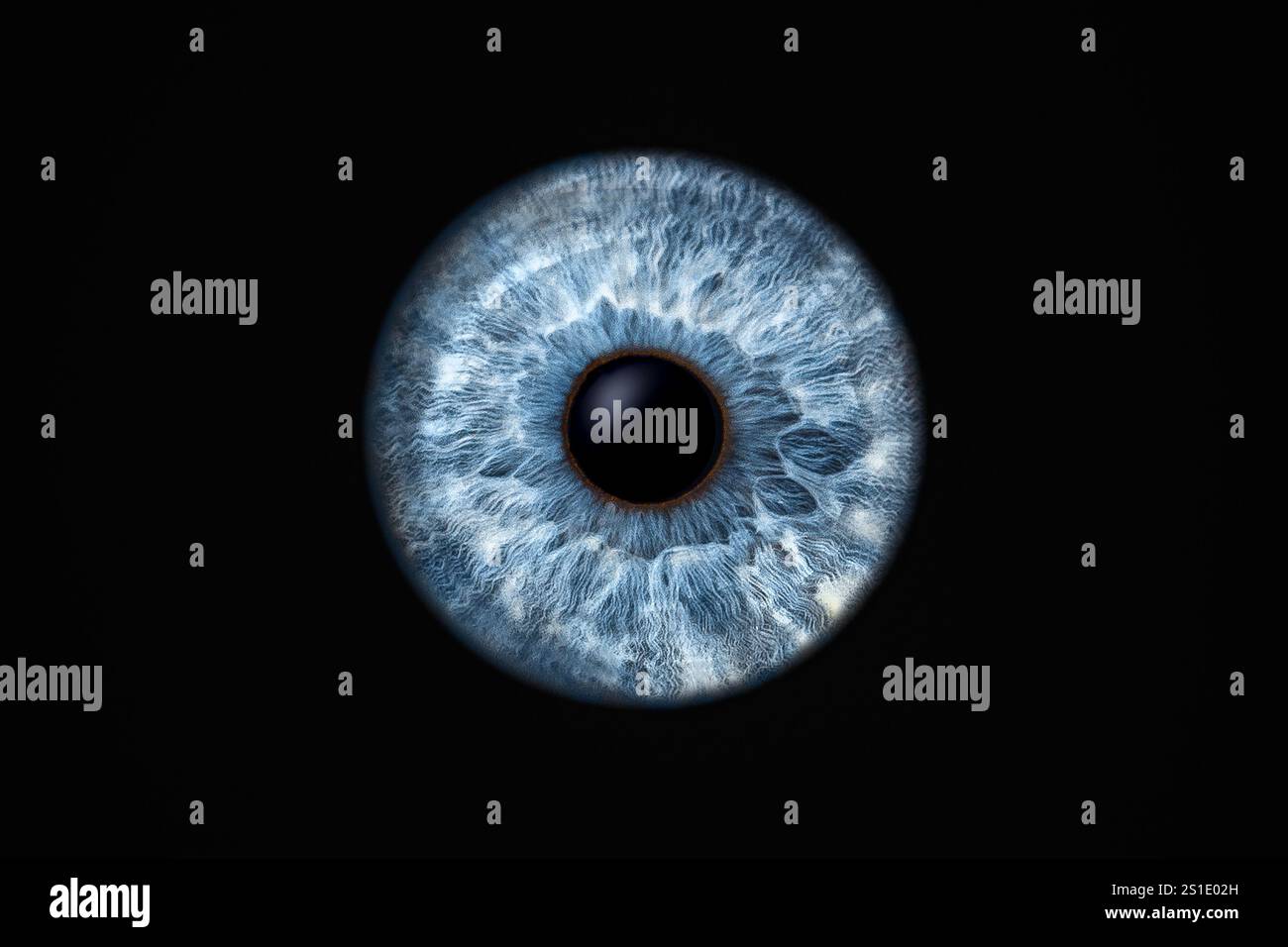 Gros plan de l'iris de l'œil humain sur fond noir, macro photographie Banque D'Images