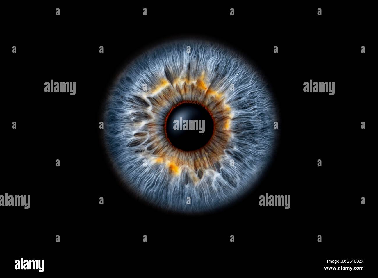 Gros plan de l'iris de l'œil humain sur fond noir, macro photographie Banque D'Images