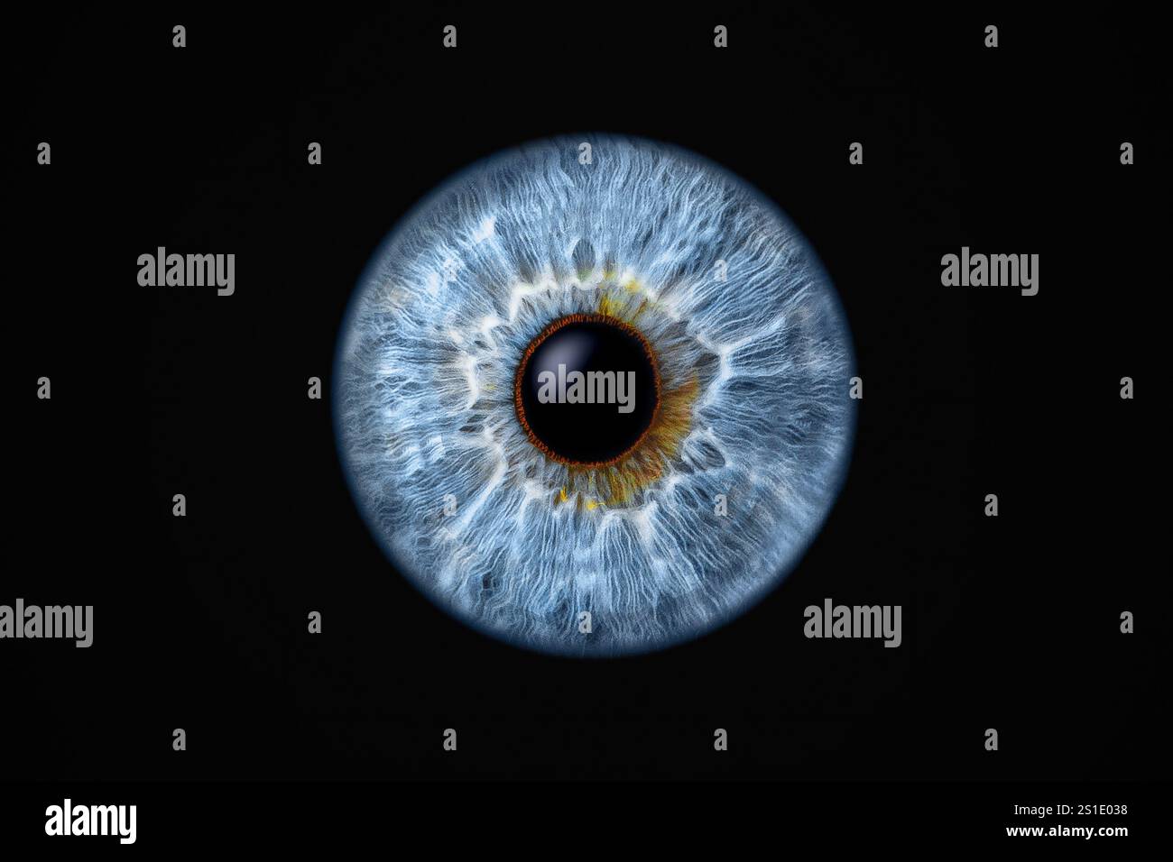 Gros plan de l'iris de l'œil humain sur fond noir, macro photographie Banque D'Images