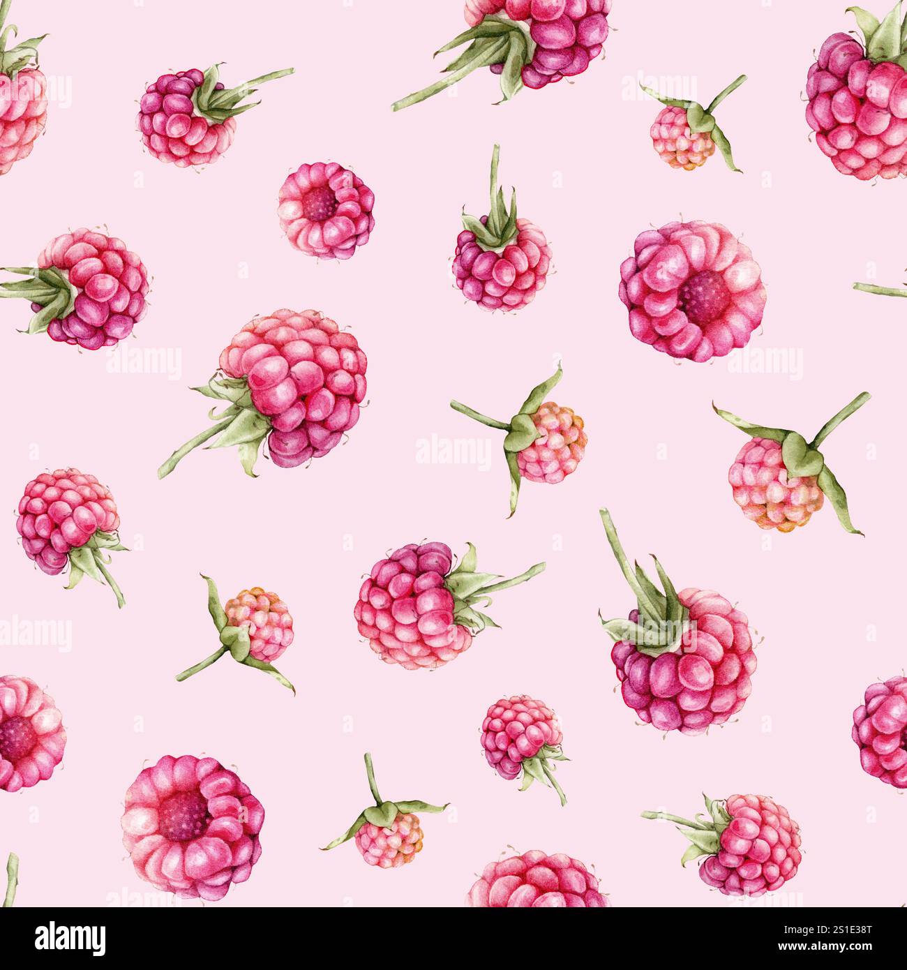 Motif aquarelle sans couture avec framboises et mûres. Illustration de dessin à la main baies rouges. Élément de design graphique isolé sur blanc Banque D'Images
