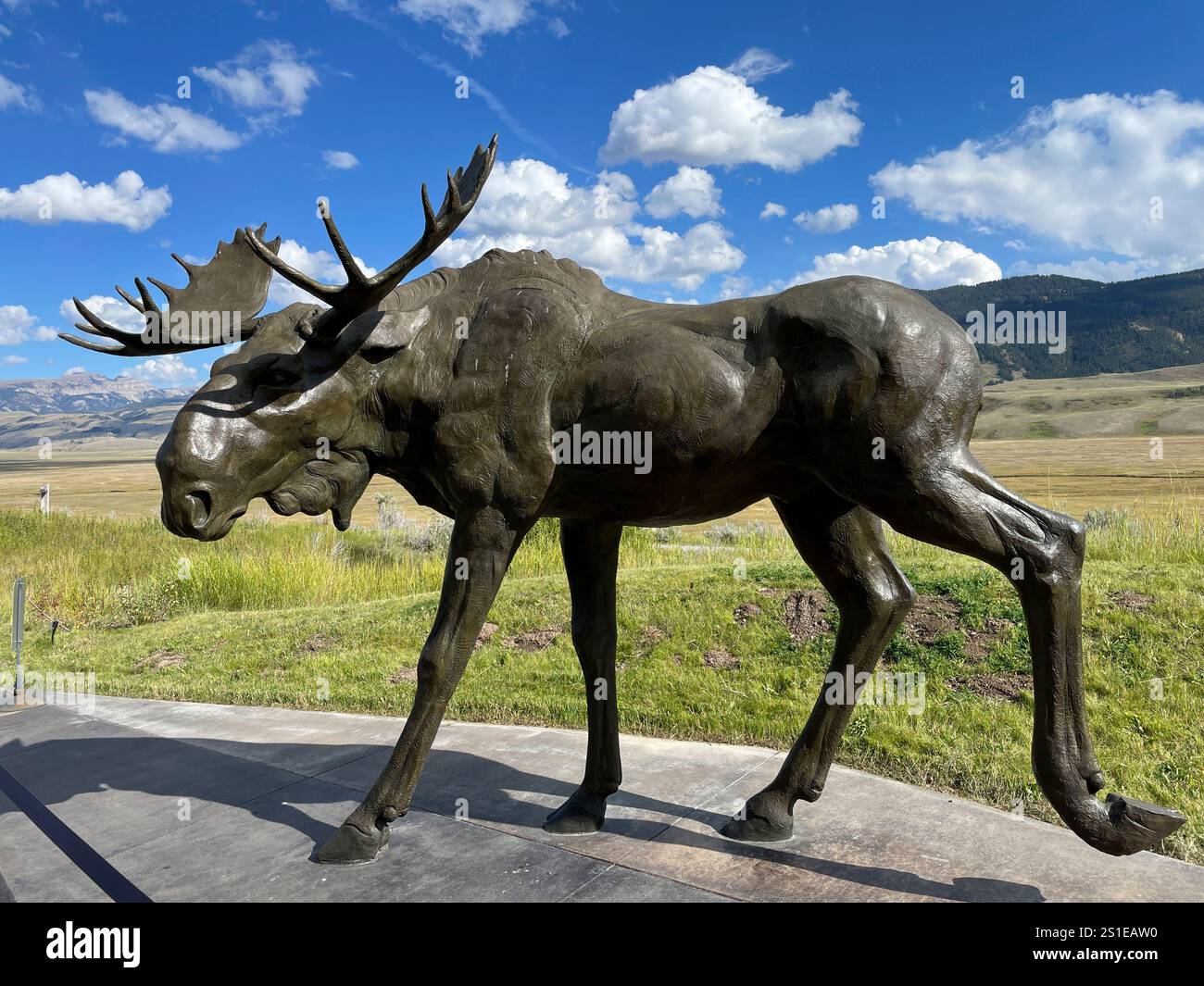 Musée national d'art de la faune, Moose, Jackson, Jackson Hole, parc national de Grand Teton, Wyoming, États-Unis Banque D'Images