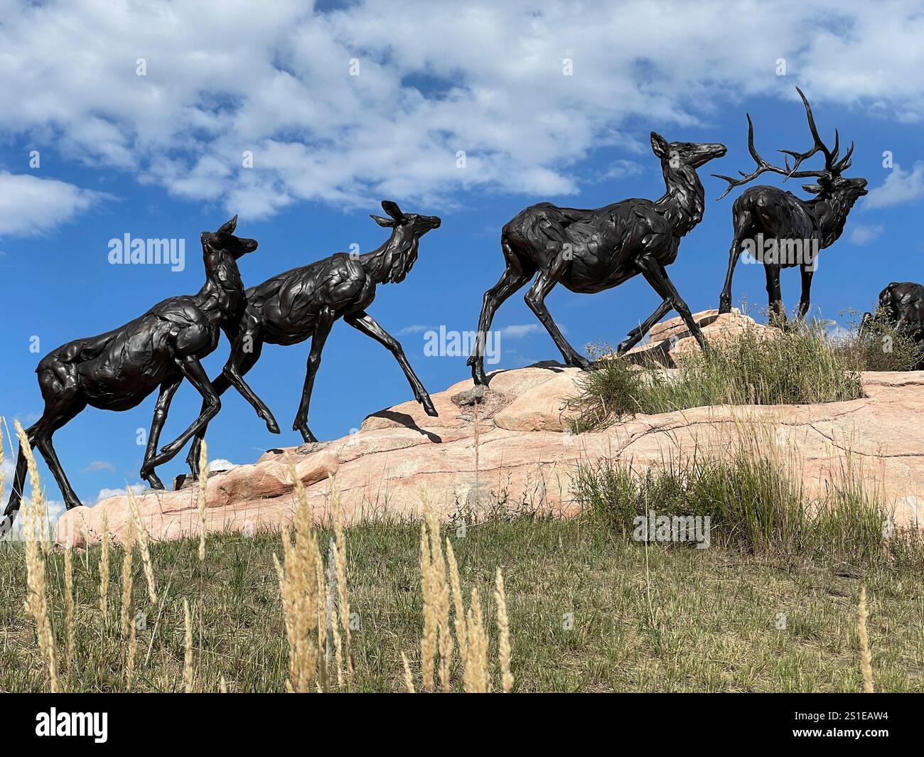 Musée national d'art de la faune, élan, Jackson, Jackson Hole, parc national de Grand Teton, Wyoming, États-Unis Banque D'Images