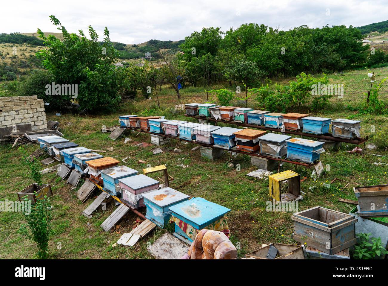 Ruches d'abeilles dans le rucher. Ruches en bois peintes avec des abeilles actives. Concept biodiversité et écologie. Banque D'Images