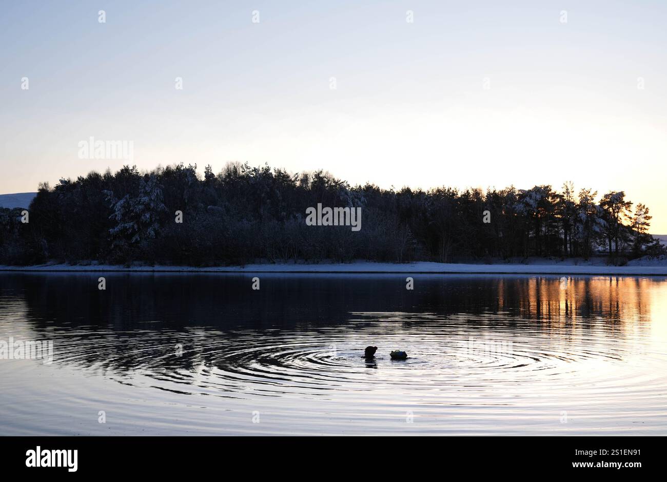 Un nageur au réservoir Harlaw dans les collines Pentland, Balerno, Édimbourg. L'Agence britannique de sécurité sanitaire (UKHSA) a émis des alertes sanitaires par temps froid pour toute l'Angleterre avant une semaine de basses températures. Des alertes AMBER ont été émises à partir de 12 heures jeudi jusqu'au 8 janvier, ce qui signifie qu'une augmentation des décès, en particulier parmi les personnes âgées de 65 ans et plus ou souffrant de problèmes de santé, est probable, a déclaré l'UKHSA. Date de la photo : vendredi 3 janvier 2025. Banque D'Images