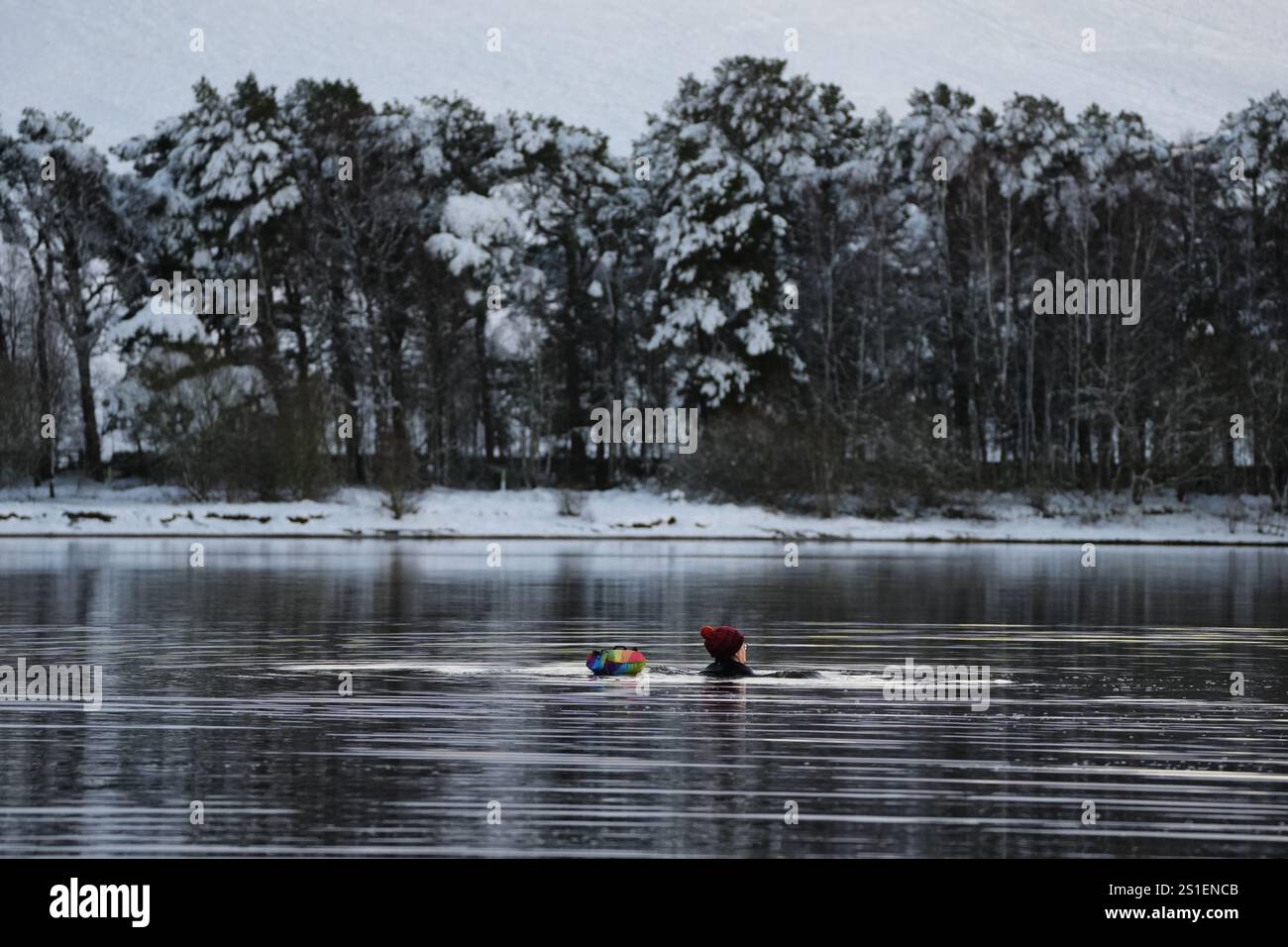 Un nageur au réservoir Harlaw dans les collines Pentland, Balerno, Édimbourg. L'Agence britannique de sécurité sanitaire (UKHSA) a émis des alertes sanitaires par temps froid pour toute l'Angleterre avant une semaine de basses températures. Des alertes AMBER ont été émises à partir de 12 heures jeudi jusqu'au 8 janvier, ce qui signifie qu'une augmentation des décès, en particulier parmi les personnes âgées de 65 ans et plus ou souffrant de problèmes de santé, est probable, a déclaré l'UKHSA. Date de la photo : vendredi 3 janvier 2025. Banque D'Images