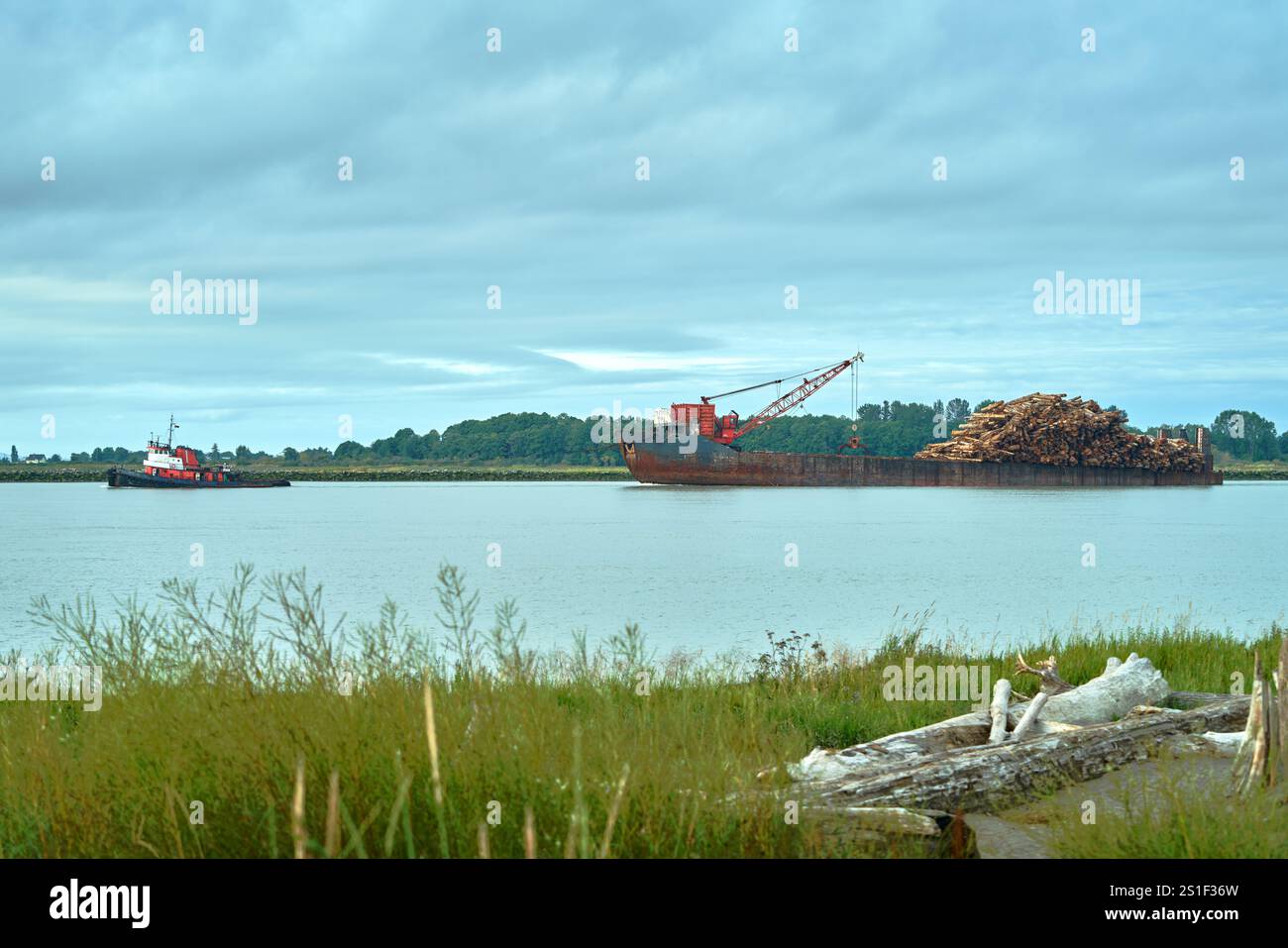 Pacific Northwest Log Barge et Tugboat. Une grande barge transportant du bois remorqué sur une rivière dans le nord-ouest du Pacifique. Banque D'Images