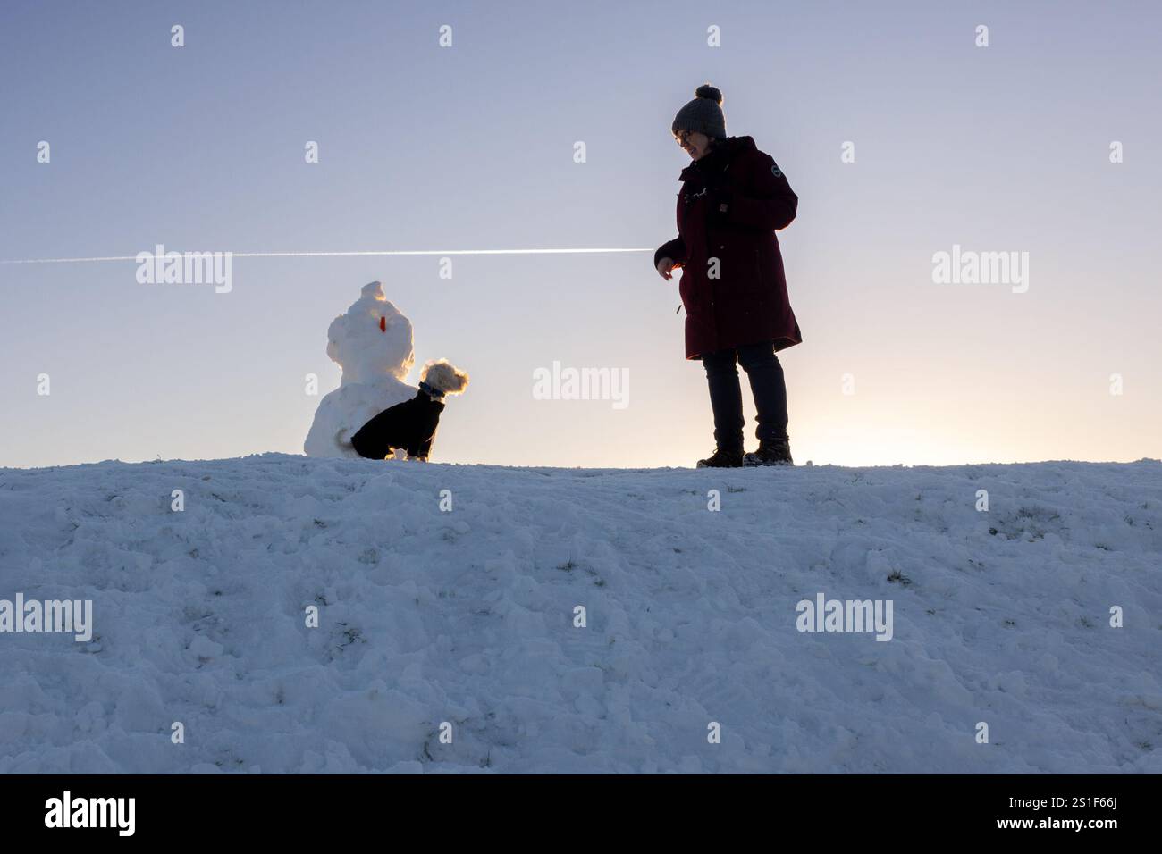 Harlaw. Balerno. Midlothian. Écosse, Royaume-Uni. 3 janvier 2025. Monty le Schoodle est plus intéressé par un biscuit de maman Andrea que par la carotte sur le bonhomme de neige pendant leur promenade dans des conditions de gel au réservoir Harlaw près de Balerno dans le Midlothian (crédit photo : David Mollison/Alamy Live News Banque D'Images