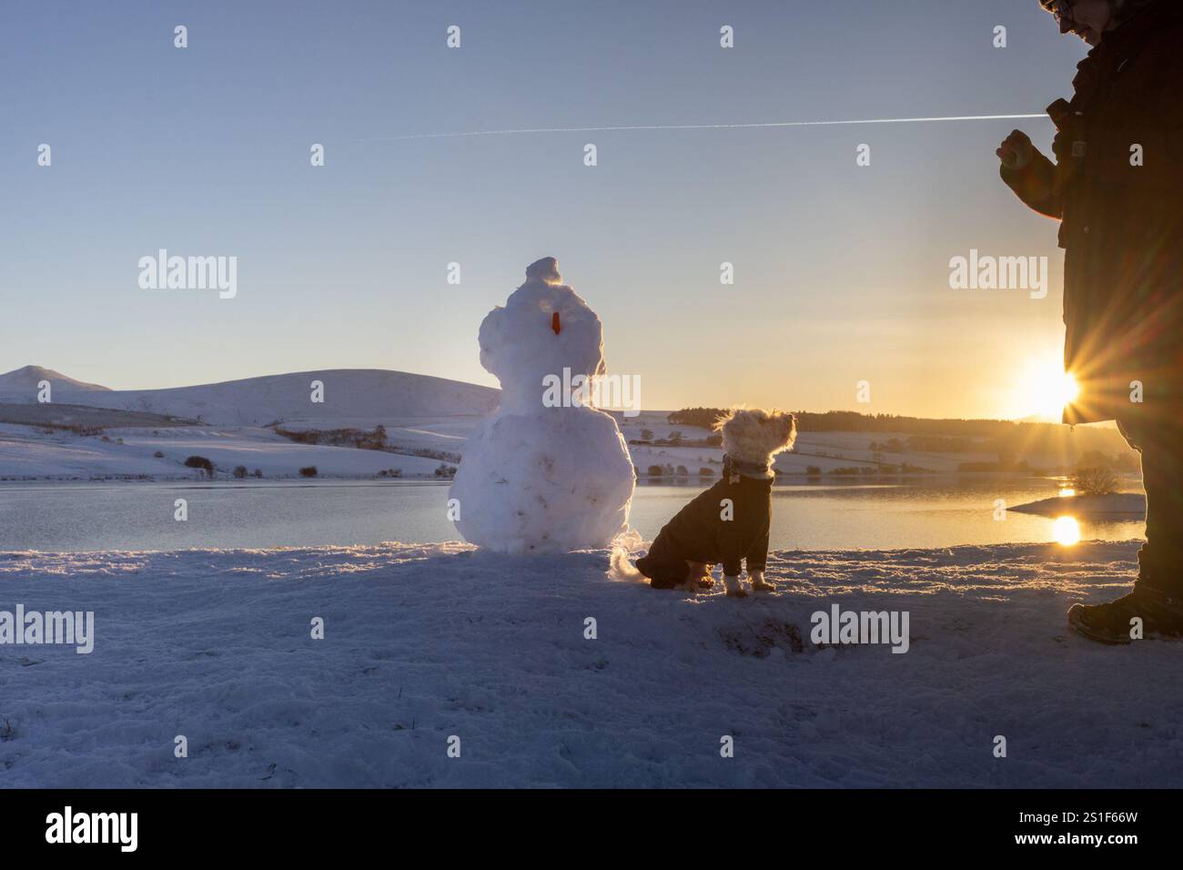 Harlaw. Balerno. Midlothian. Écosse, Royaume-Uni. 3 janvier 2025. Monty le Schoodle est plus intéressé par un biscuit de maman Andrea que par la carotte sur le bonhomme de neige pendant leur promenade dans des conditions de gel au réservoir Harlaw près de Balerno dans le Midlothian (crédit photo : David Mollison/Alamy Live News Banque D'Images