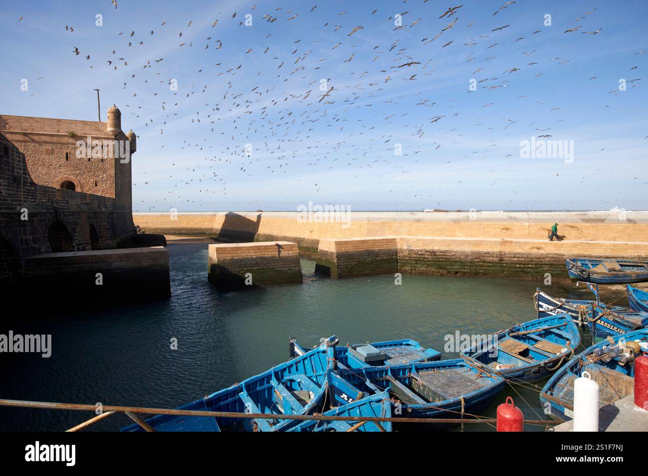 troupeau d'oiseaux au-dessus des fortifications portuaires et skala du port essaouira, maroc Banque D'Images