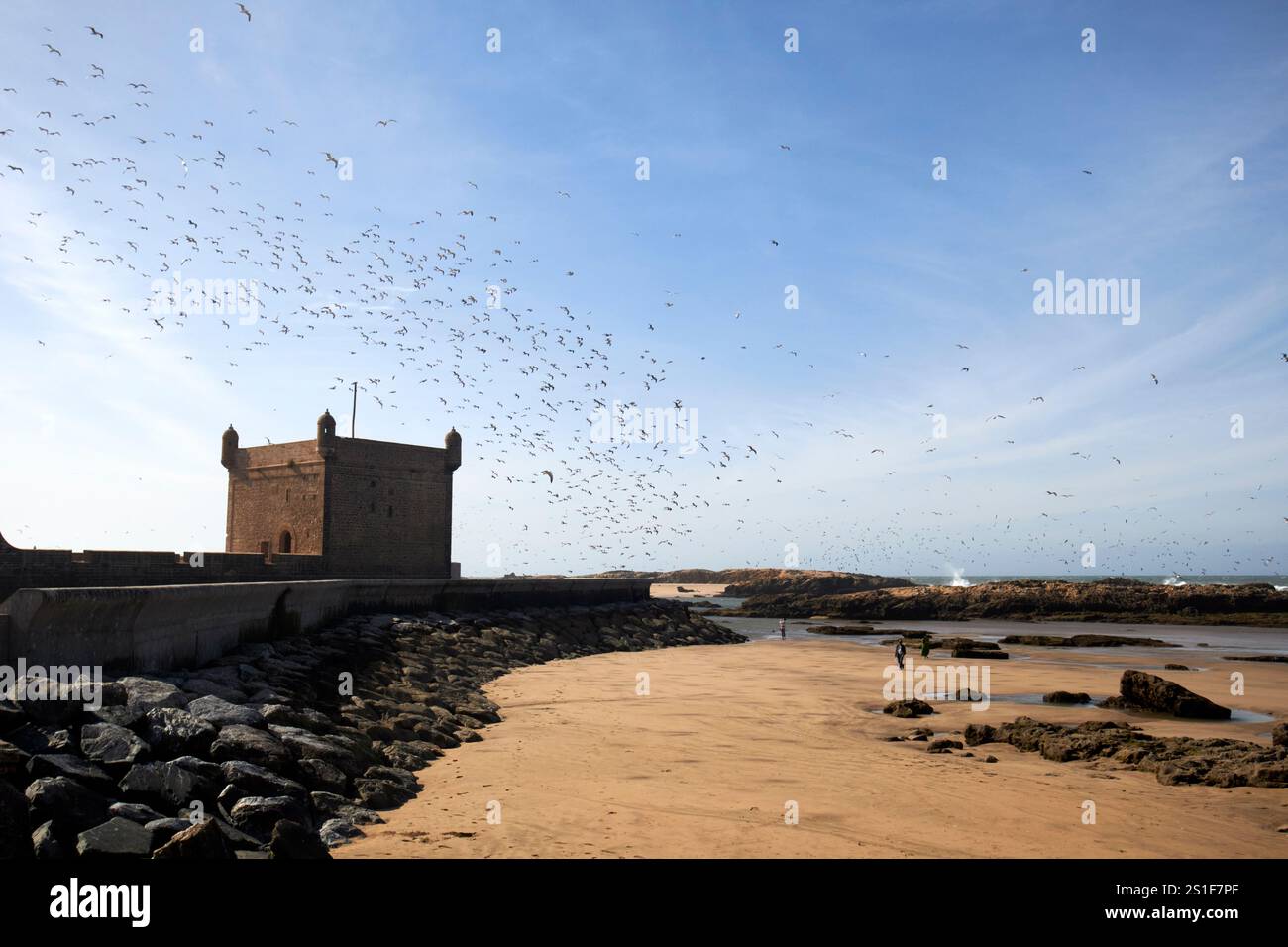 troupeau d'oiseaux au-dessus des fortifications portuaires et skala du port essaouira, maroc Banque D'Images