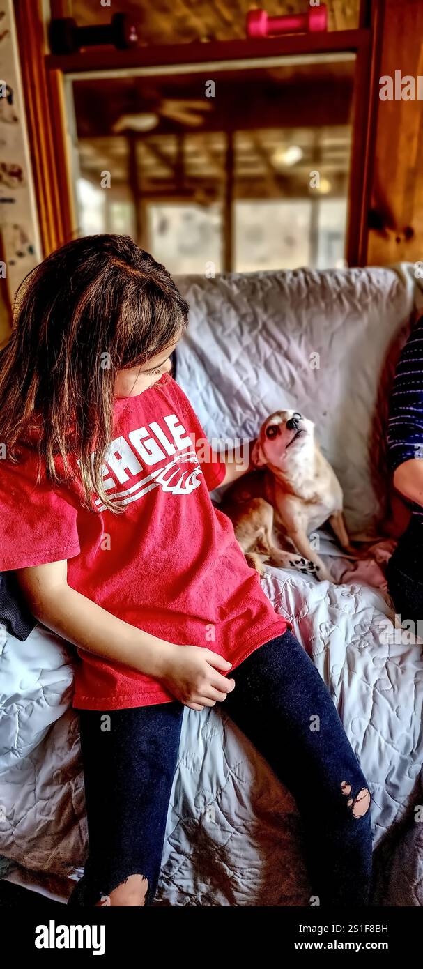 Une photo mignonne d'une fille caressant un chihuahua Banque D'Images