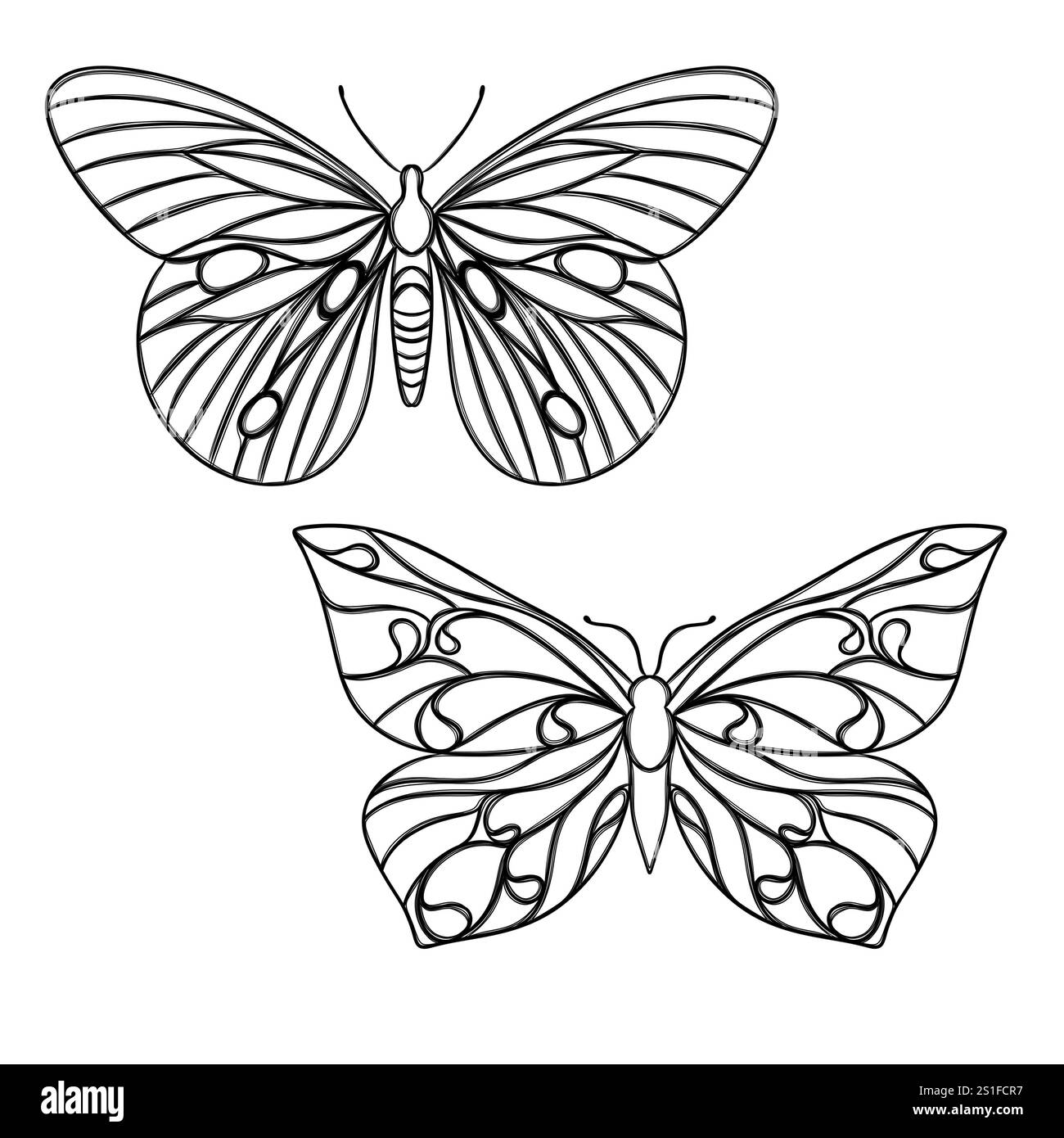 Dessin au trait papillon, mise en page pour l'impression d'illustrations sur T-shirts, blocs-notes, couvertures Banque D'Images