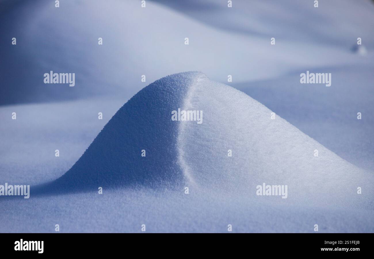 La nature à l'ère glaciaire Banque D'Images
