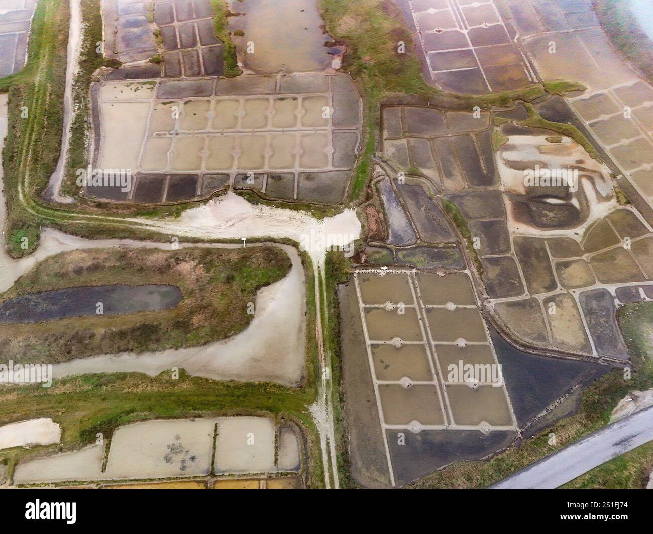 Vue aérienne des marais salants de Guérande en Bretagne, France Banque D'Images