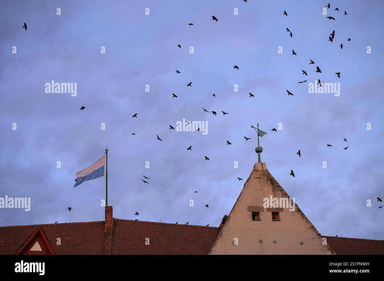 Troupeau de corbeaux (Corvus corone) dans la soirée au-dessus du château impérial, Nuremberg, Bavière, Allemagne, Europe Banque D'Images