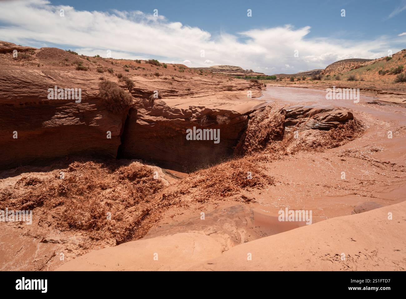 Ruisseau du désert, nation Navajo, Utah. Banque D'Images