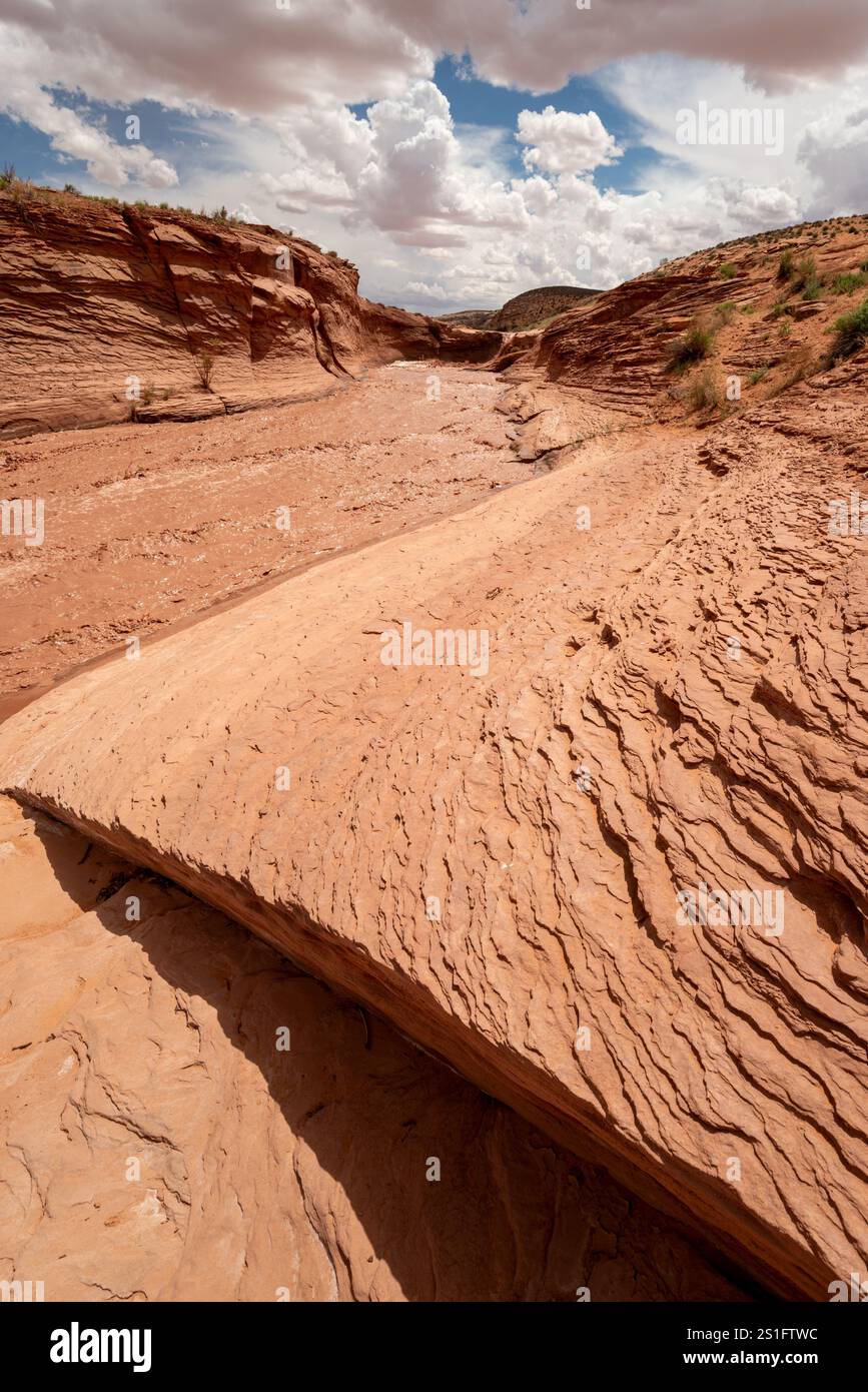 Ruisseau du désert, nation Navajo, Utah. Banque D'Images