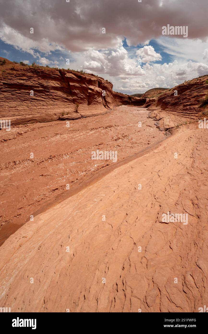 Ruisseau du désert, nation Navajo, Utah. Banque D'Images