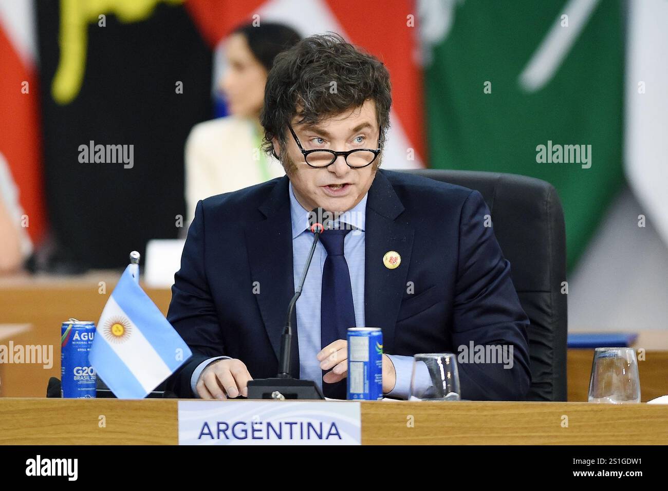 Rio de Janeiro, Brésil, 19 novembre 2024, Javier Milei, Président de l'Argentine, lors d'une réunion à la plénière du G20. Banque D'Images