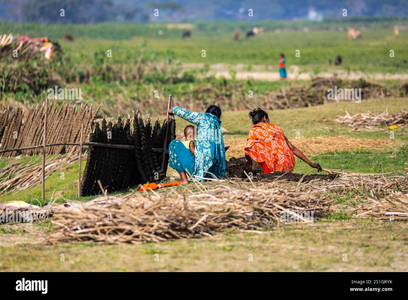 Les femmes fabriquent des bâtonnets de bouse de vache qui seront utilisés comme combustible pour cuisiner dans la région de Haor à Mohonganj, district de Netrokona, au Bangladesh, pendant la saison hivernale. Banque D'Images