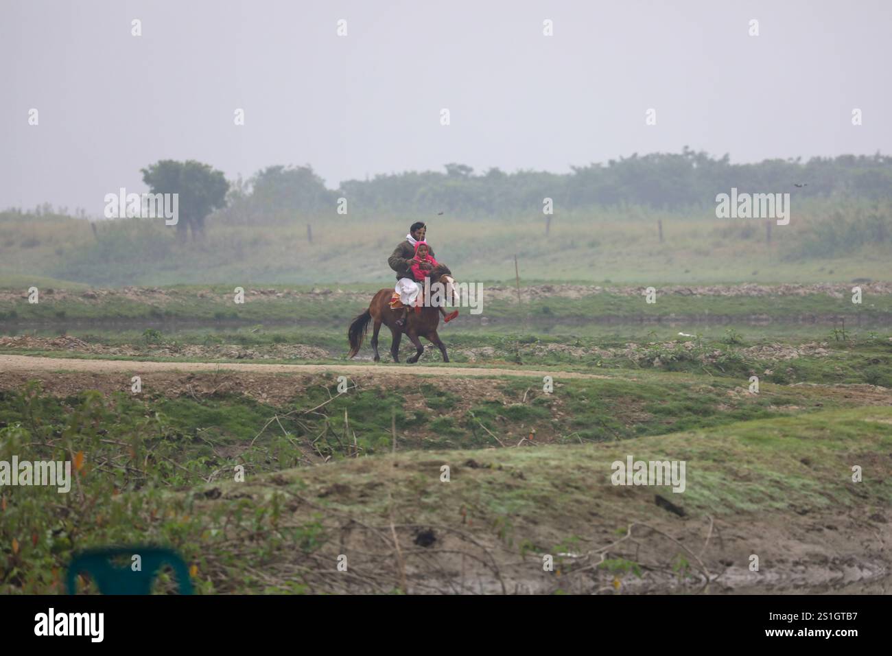 Un homme monte à cheval dans le Haor de Mohonganj, district de Netrokona, Bangladesh, un matin d'hiver. Banque D'Images