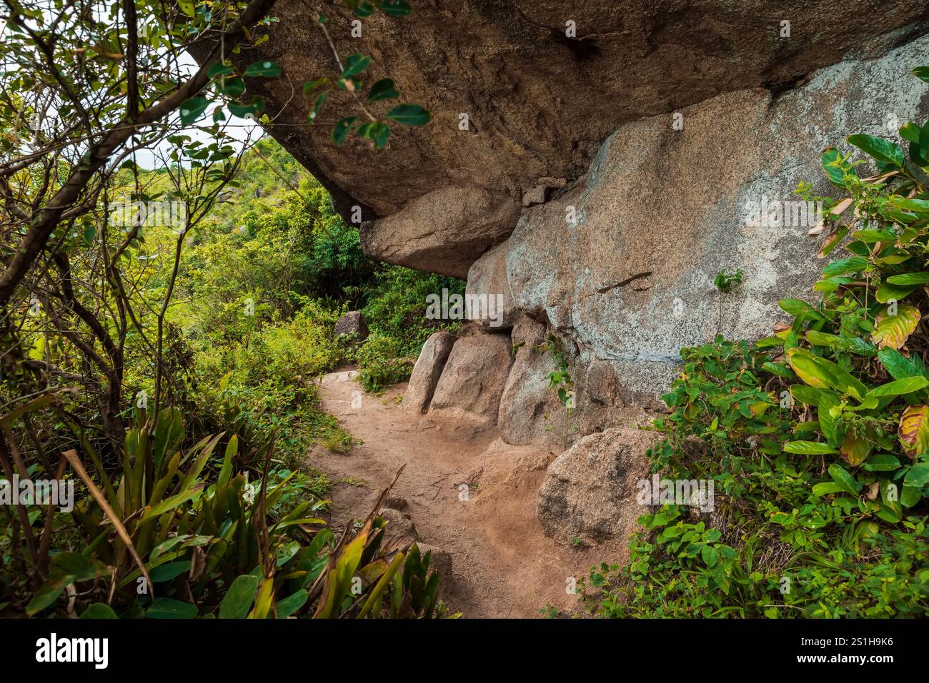 Sentier sous les rochers avec des plantes au Brésil. Banque D'Images