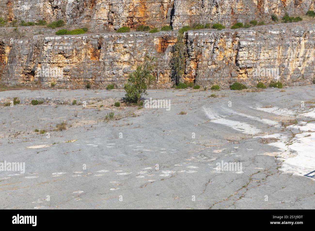 Véritables empreintes de dinosaures imprimées dans la roche, Ourém Portugal Banque D'Images