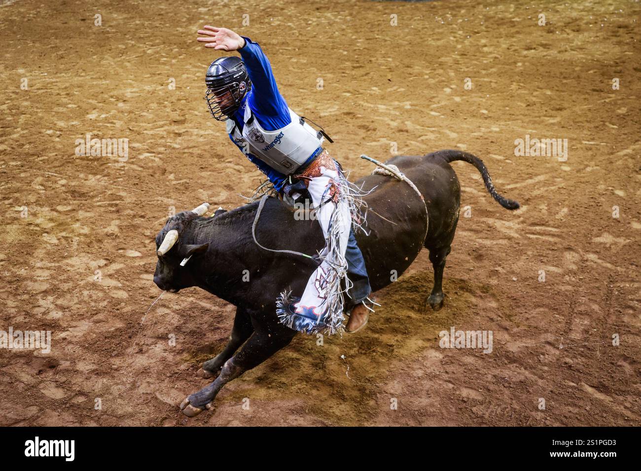 03 janvier 2024 ; New York City , New York, USA ; Marco Rizzo concourt sur le taureau Spunky Energy lors de l'événement PBR Unleash the Beast au Madison Square Garden à New York. (Photo par Ariel Fox/ image du sport) Banque D'Images