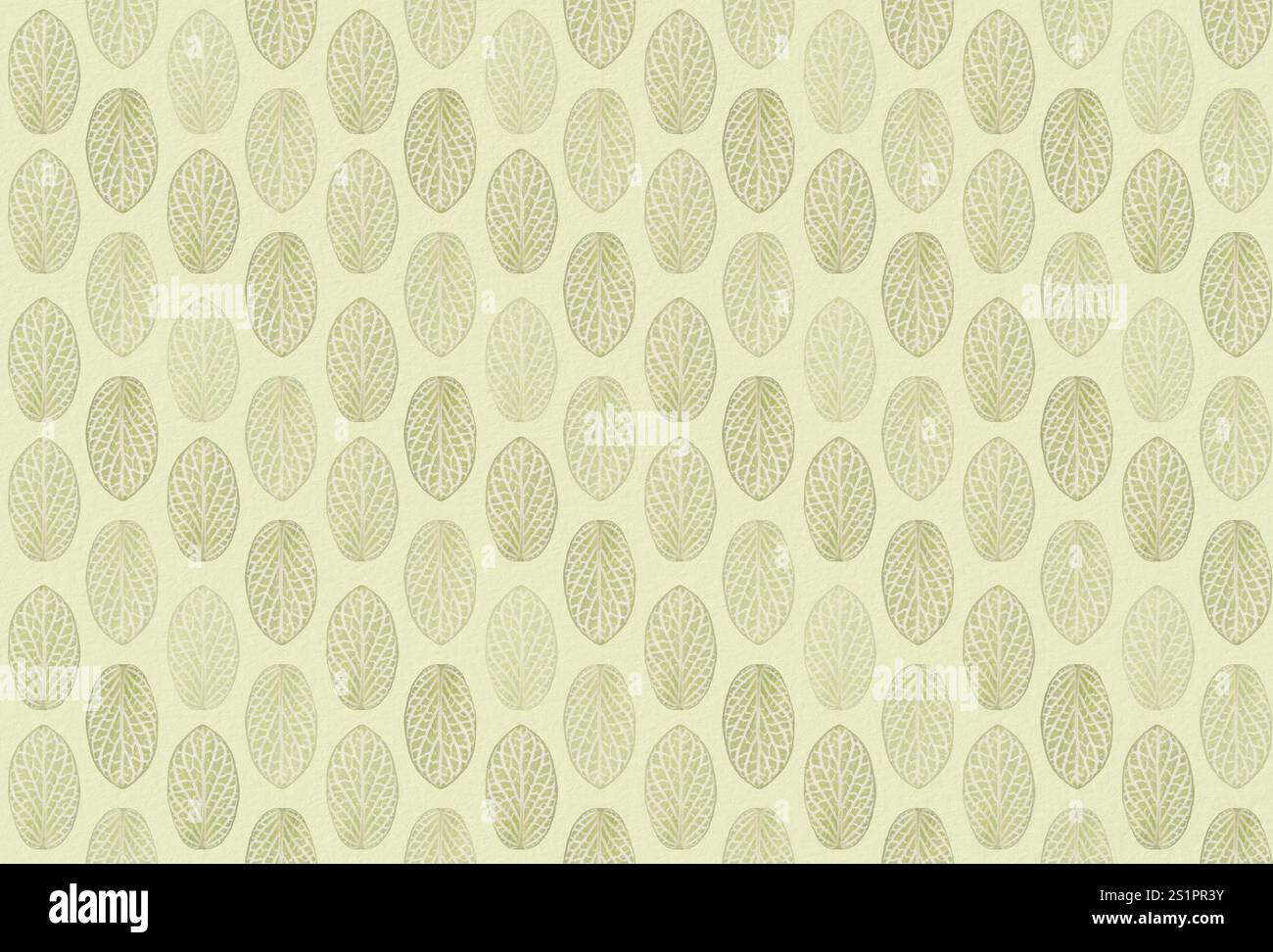 Répétition du motif sans couture de nombreuses feuilles de plantes nerveuses (Fittonia argyroneura) sur fond de papier vert clair. Motif folié naturel. Banque D'Images