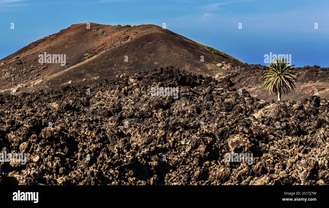 2016, Parc national de Timanfaya, Lanzarote, montagnes de feu du Parc national de Timanfaya, Montanas del Fuego, ESP, Espagne, Îles Canaries, îles Canaries, A Banque D'Images