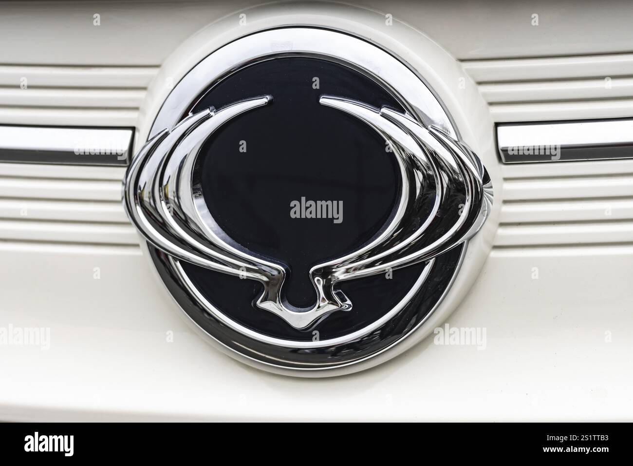 WETZLAR, Allemagne 2022-04-23 : logo de voiture Ssangyong. Ssangyong est un constructeur automobile coréen Banque D'Images