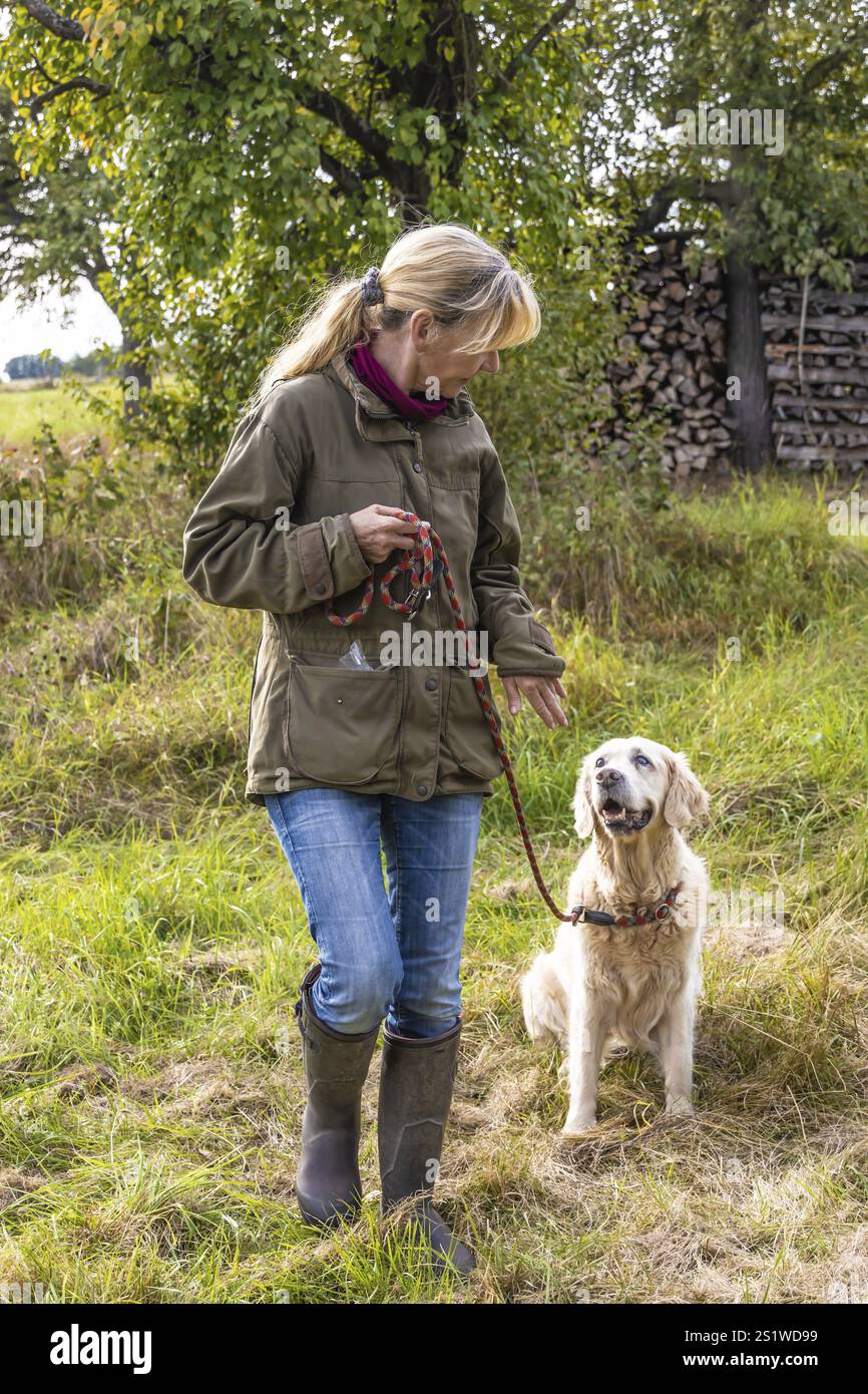 Le dresseur de chien forme un Retriever doré sur une prairie en automne Banque D'Images