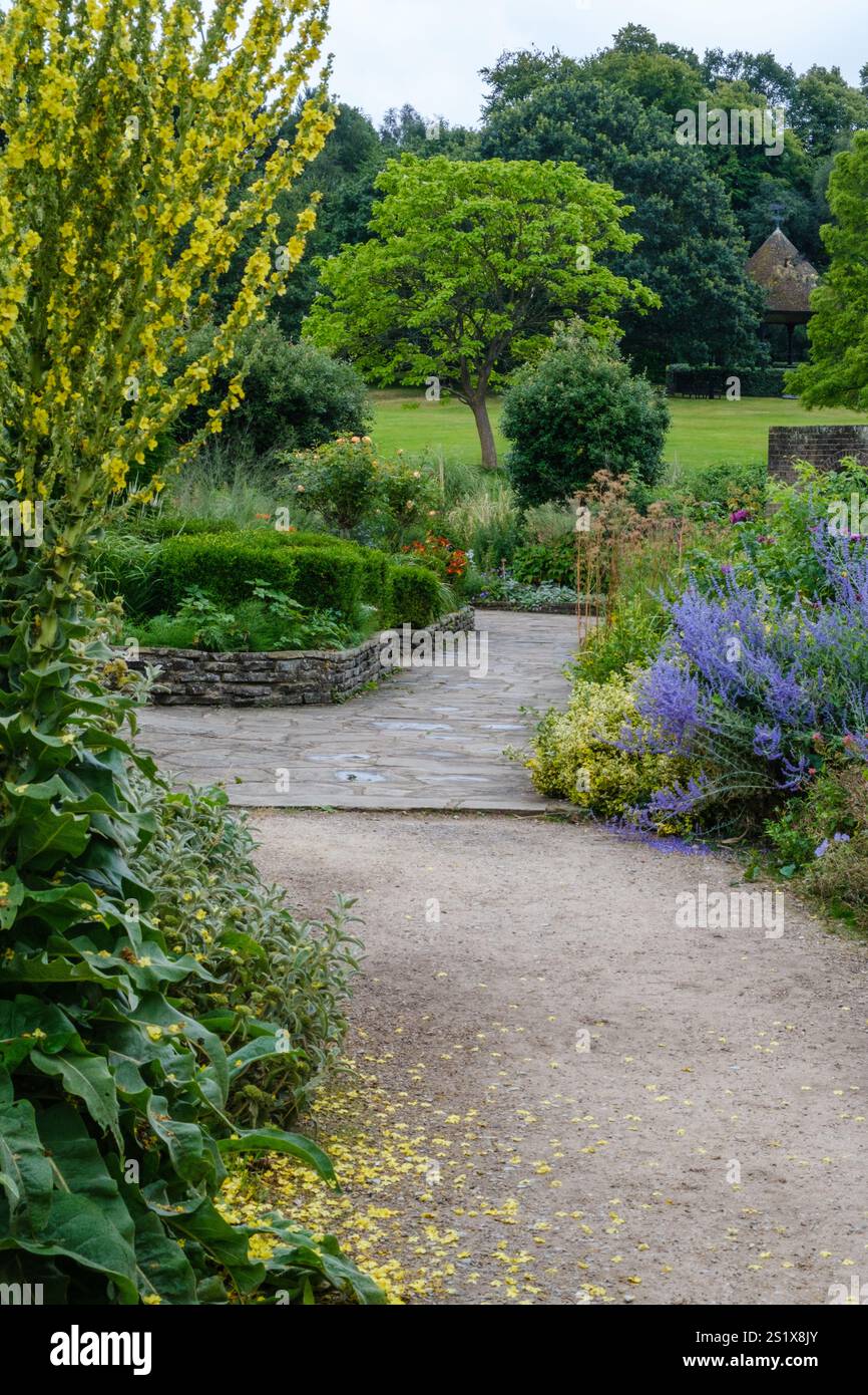 Jardin paysager avec chemin en pierre, verdure luxuriante et fleurs vibrantes. De grandes fleurs jaunes se dressent sur le côté gauche, avec des fleurs violettes sur la droite. Banque D'Images