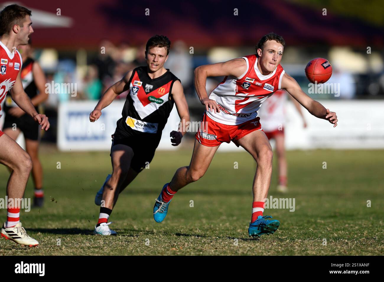 Un joueur de football australien se concentre sur le ballon lors d'un match de football à Victoria, en Australie Banque D'Images