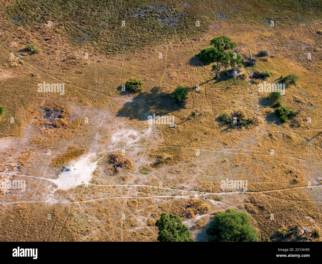 Paysage au Botswana. Vol de Maun au delta de l'Okavango en hélicoptère. Banque D'Images