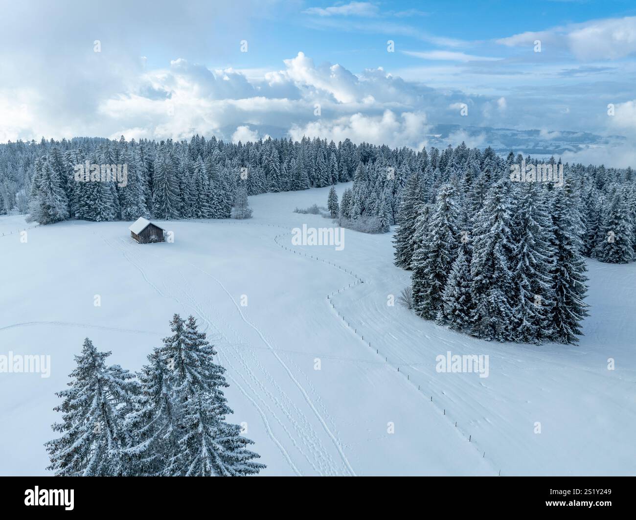 Photographie aérienne d'un paysage enneigé avec forêt d'épinettes et de sapins dans le paysage alpin du Vorarlberg à côté de Sulzberg, Autriche Banque D'Images