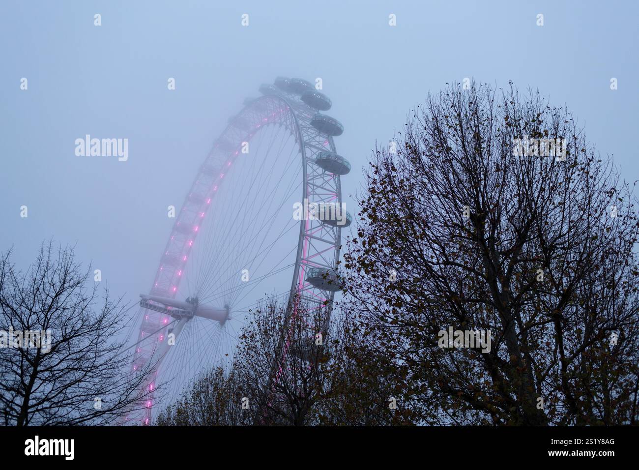 Vue du London Eye dans le brouillard comme vu entre les arbres dans Jubilee Gardens, Londres, Royaume-Uni Banque D'Images