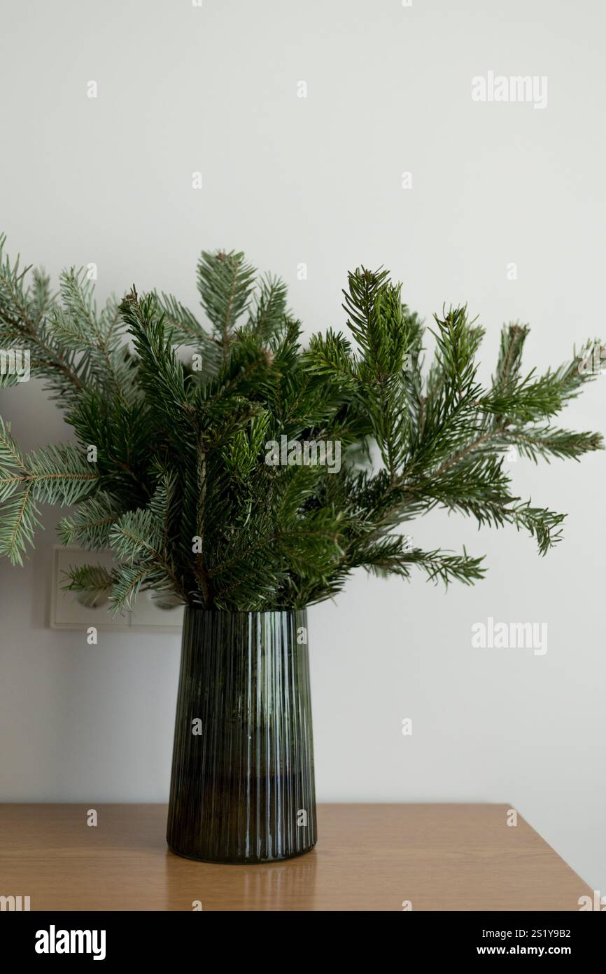Un vase en verre vert côtelé rempli de branches fraîches à feuilles persistantes, capturant la simplicité et l'élégance d'un décor hivernal naturel Banque D'Images