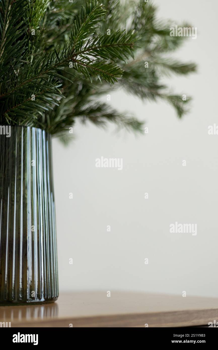 Gros plan détaillé des branches fraîches à feuilles persistantes affichées dans un vase en verre vert nervuré. Banque D'Images