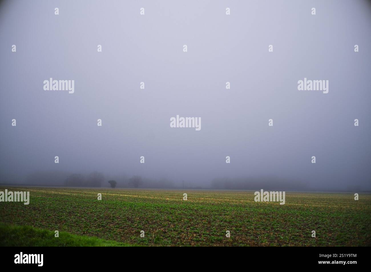 Jour sur une journée brumeuse terne regardant au-dessus d'un champ Banque D'Images