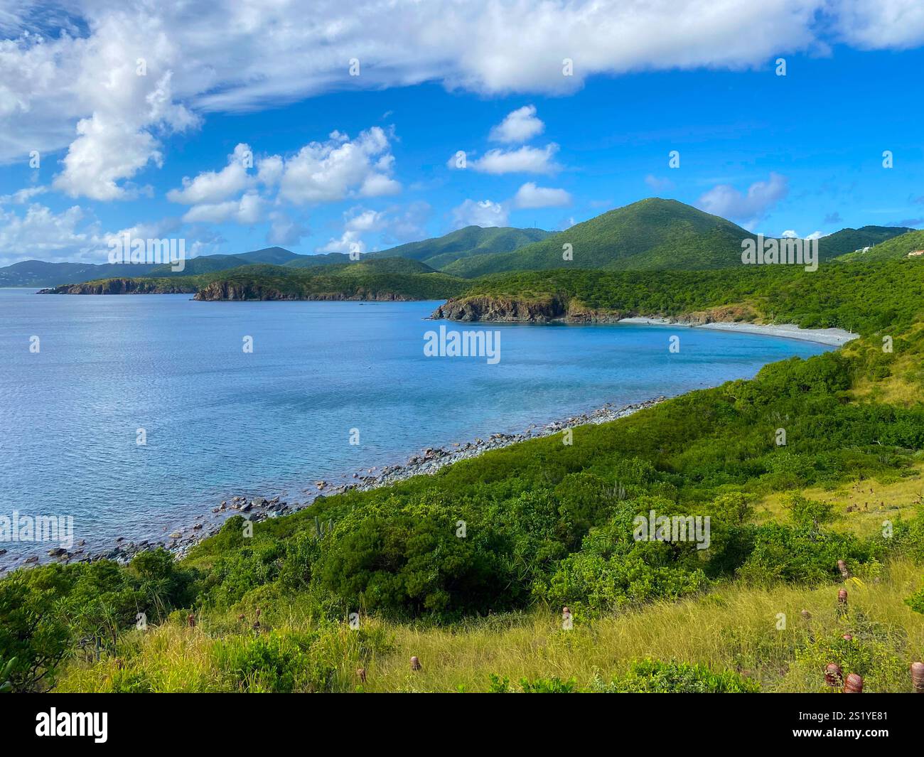 Traînée de tête de bélier Banque D'Images