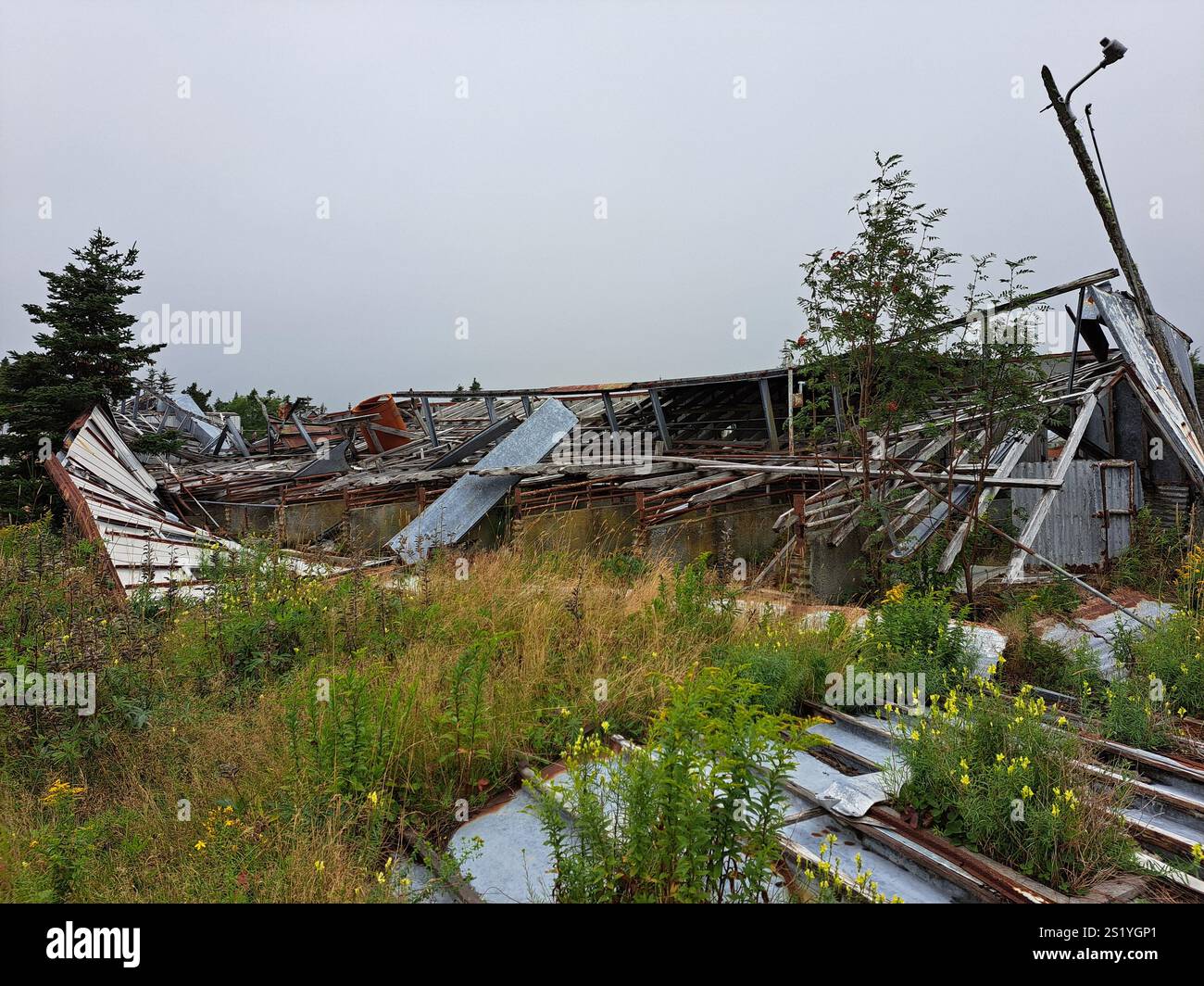 Bâtiments effondrés à la station centrale d'élevage de porcs abandonnée et délabrée à Portugal Cove, réunissant Philip's, Terre-Neuve-et-Labrador, Canada Banque D'Images